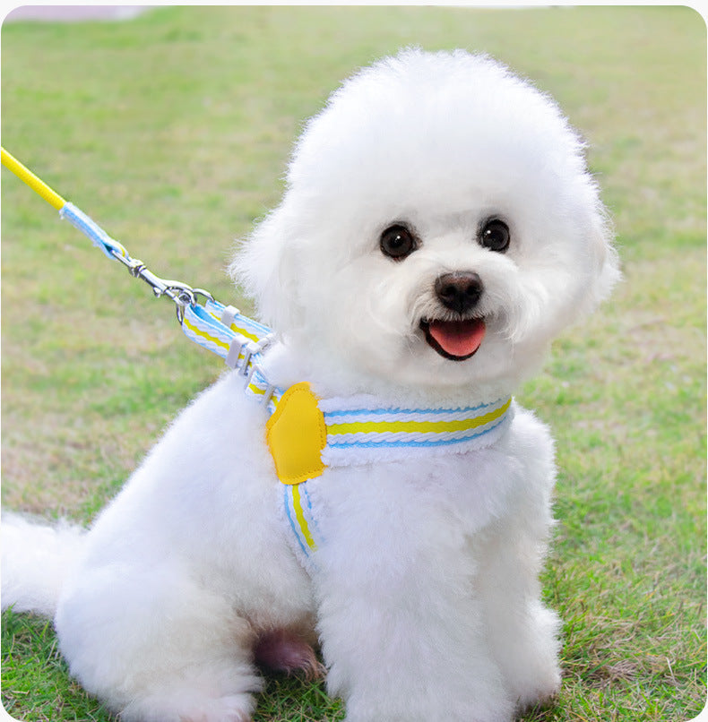 Luxury Pet Essentials - Purrfect Pet Kingdom™