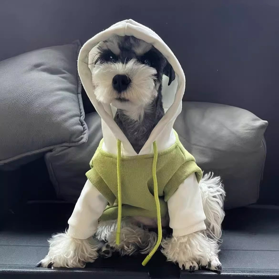Fleece-lined Insulated Hooded Sweatshirt For Pets - Premium Pet Accessory