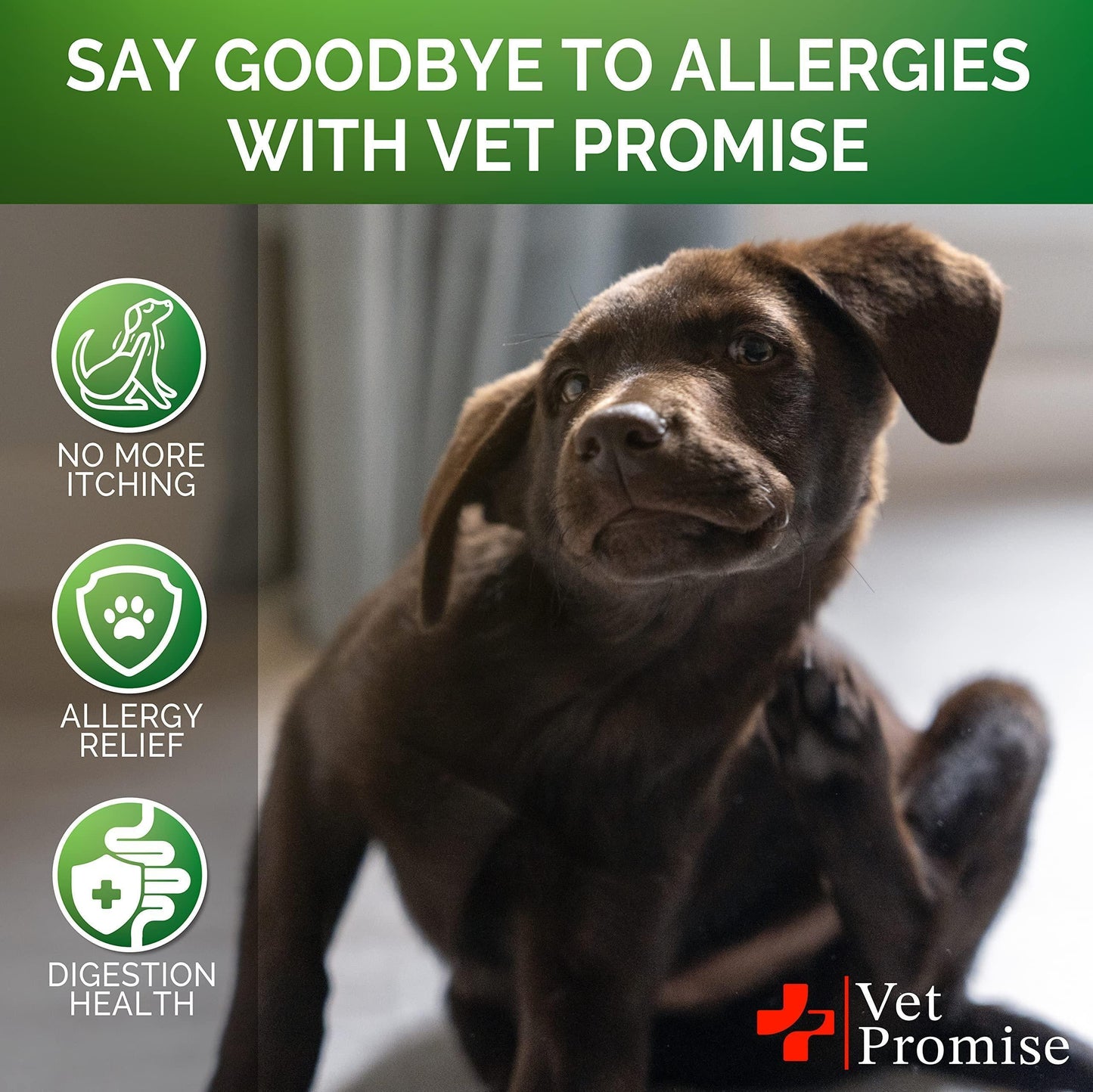 Dog Allergy Chews - Itch Relief & Immune Support 120ct