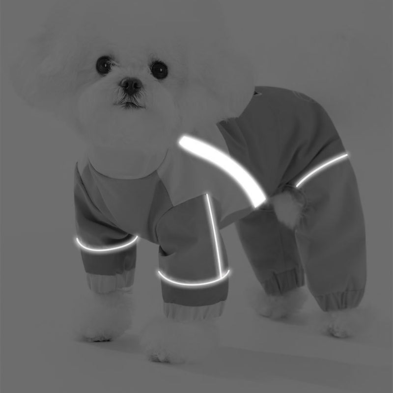 Pet Product - Premium Pet Accessory
