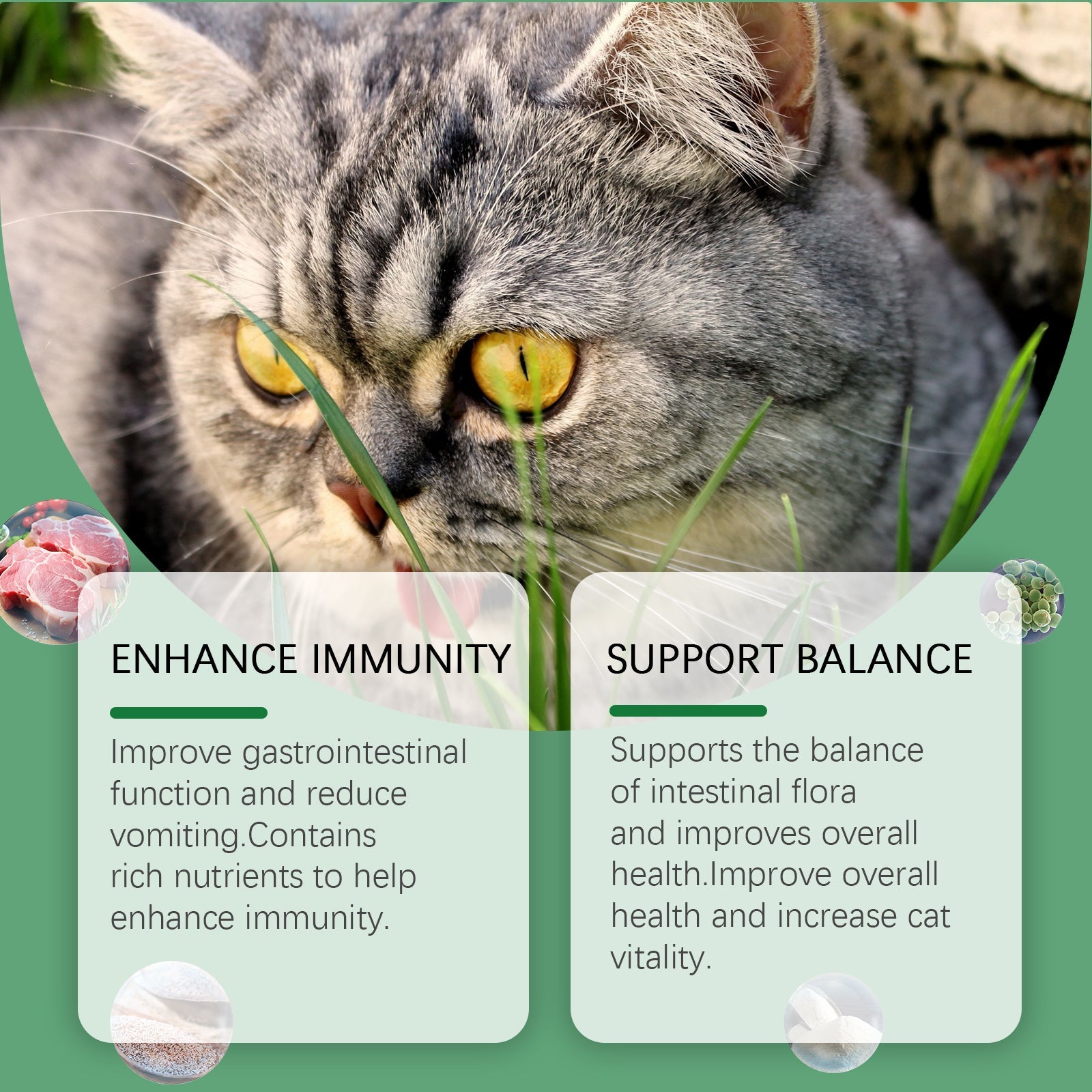 Cat Grass Tablets For Healthy Pets For Cats And Dogs To Absorb Nutrients Rich In Dietary Fiber Tablets | Purrfect Pet Kingdom