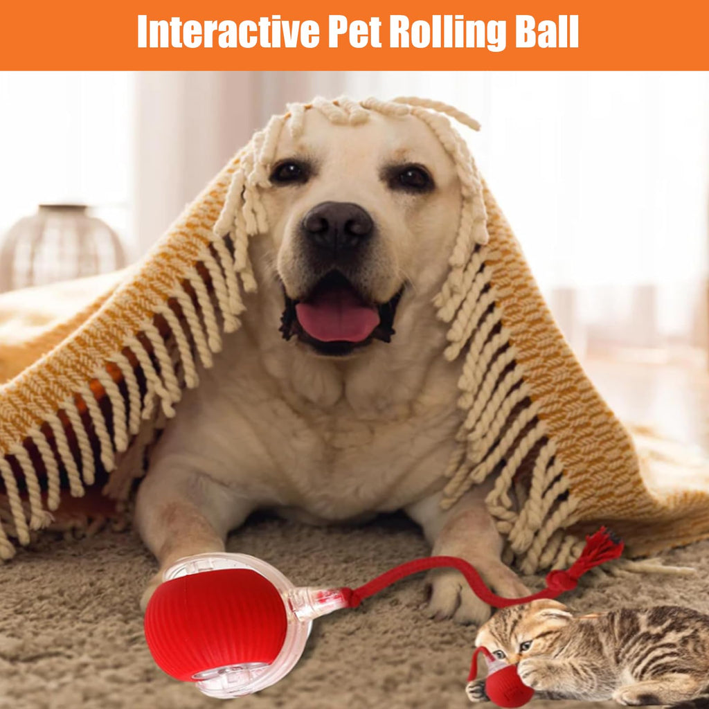 Automatic Dog Ball: Interactive USB Smart Rolling Toy
