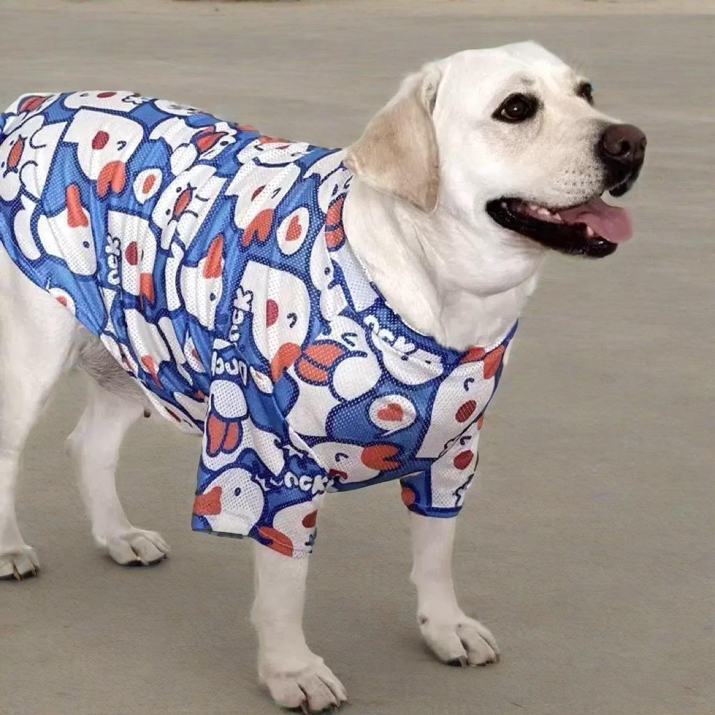 Pet Product - Premium Pet Accessory