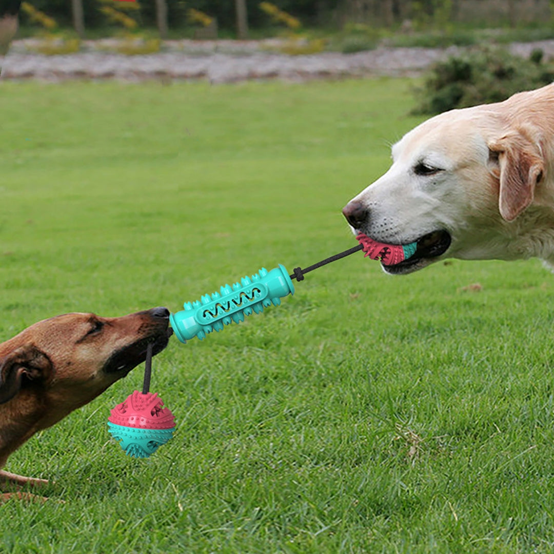 Dog Chew Toy Durable Rubber Stick Dental Teeth Cleaning Bone - Main Feature View | Majestic Pet Kingdom