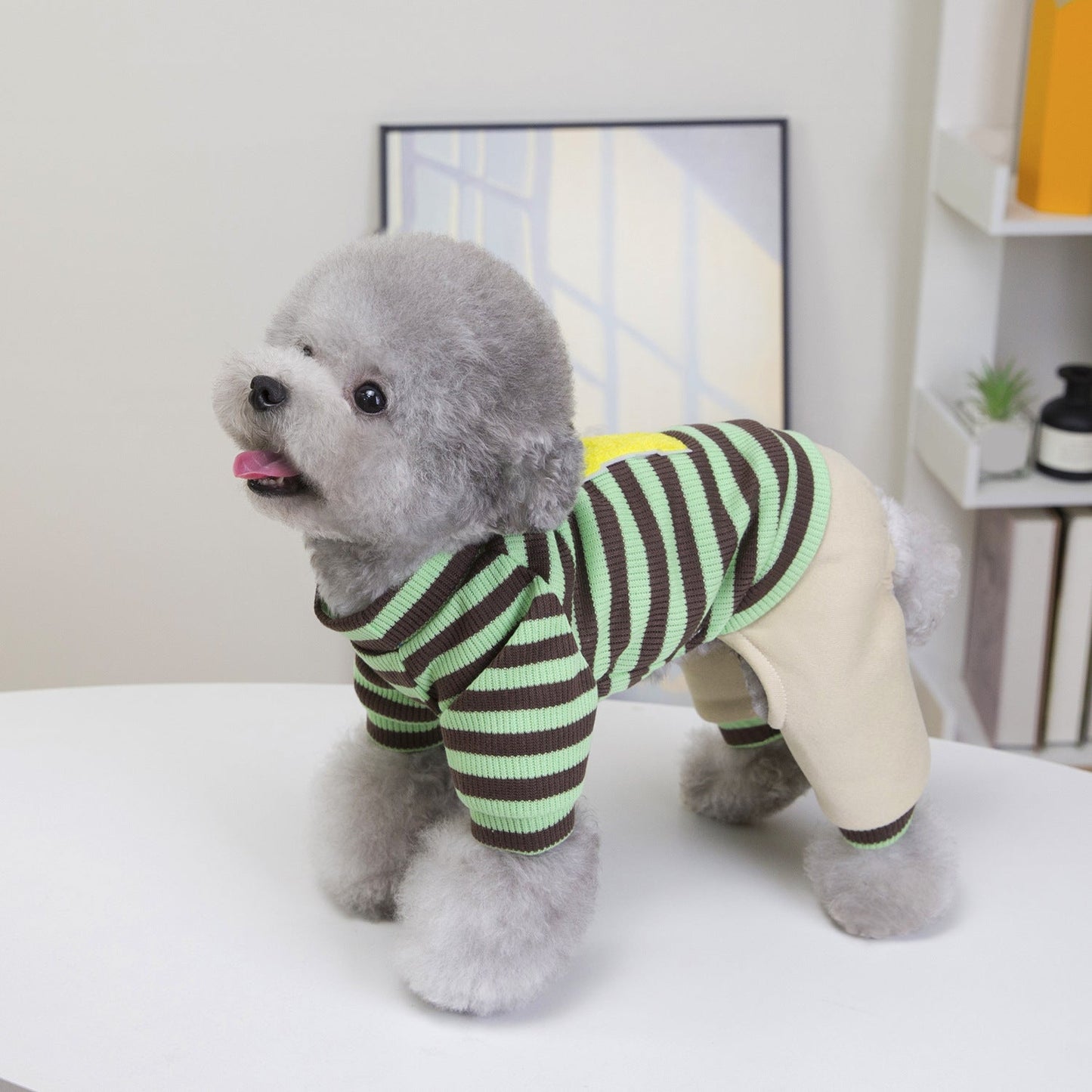 Pet Product - Premium Pet Accessory