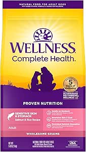 Dog Food Wellness Sensitive Skin Stomach Salmon Rice Dry Foo