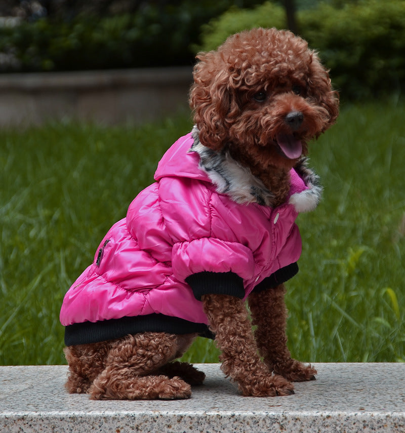 Zippered Cotton Padded Clothes For Pets - Majestic Pet Kingdom