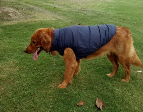 Pet clothing dog clothing warm waterproof outdoor pet supplies - Majestic Pet Kingdom