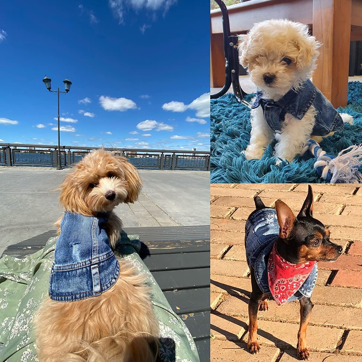 Pet Dog Cat Blue Denim Jeans Jacket Coat Vest | Purrfect Pet Kingdom