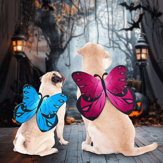 Coppthinktu Butterfly Wings Dog Cat Costume Blue Felt with 3 Flowers Size L - Detail Angle 2 | Majestic Pet Kingdom