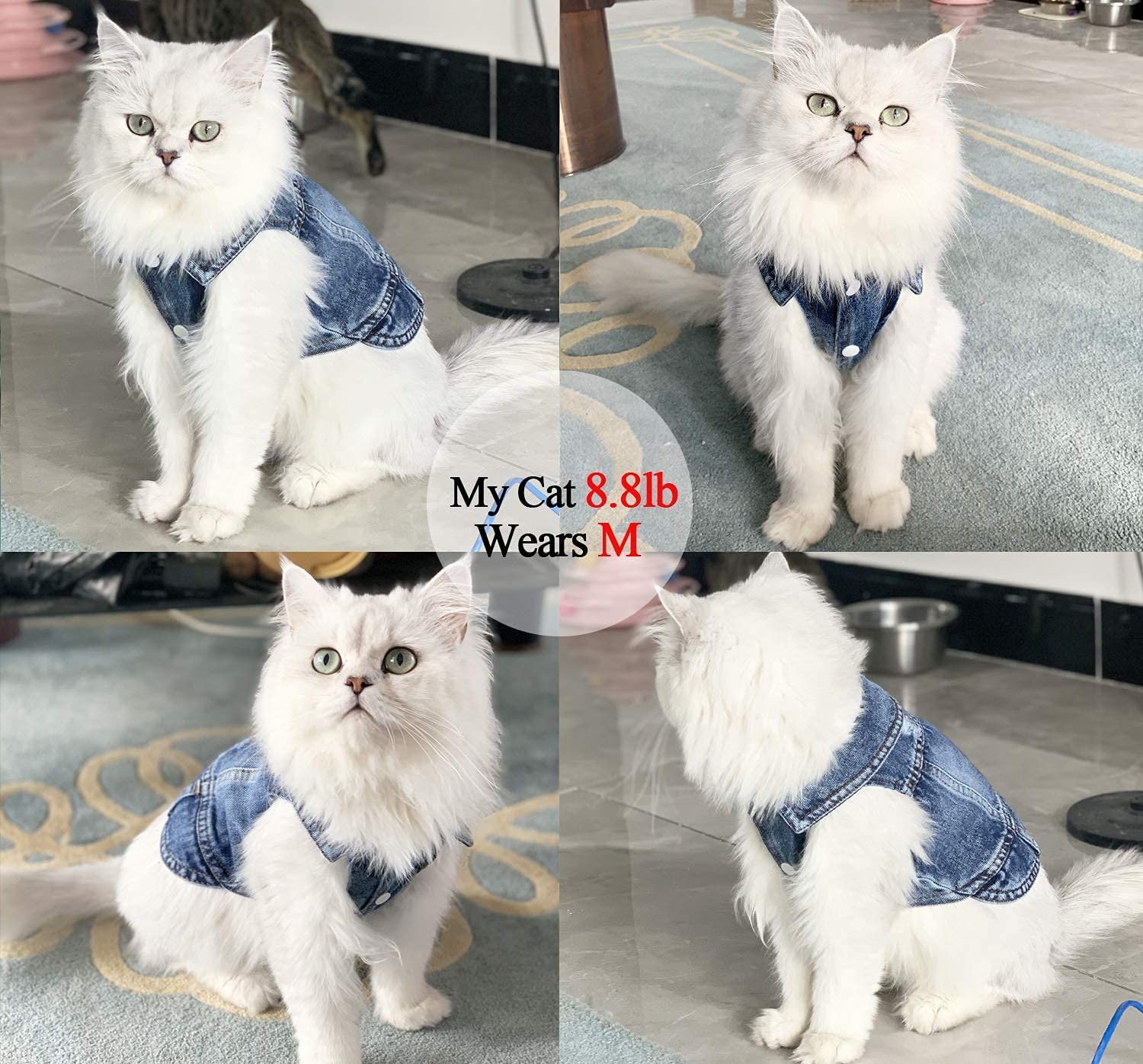 Pet Dog Cat Blue Denim Jeans Jacket Coat Vest | Purrfect Pet Kingdom