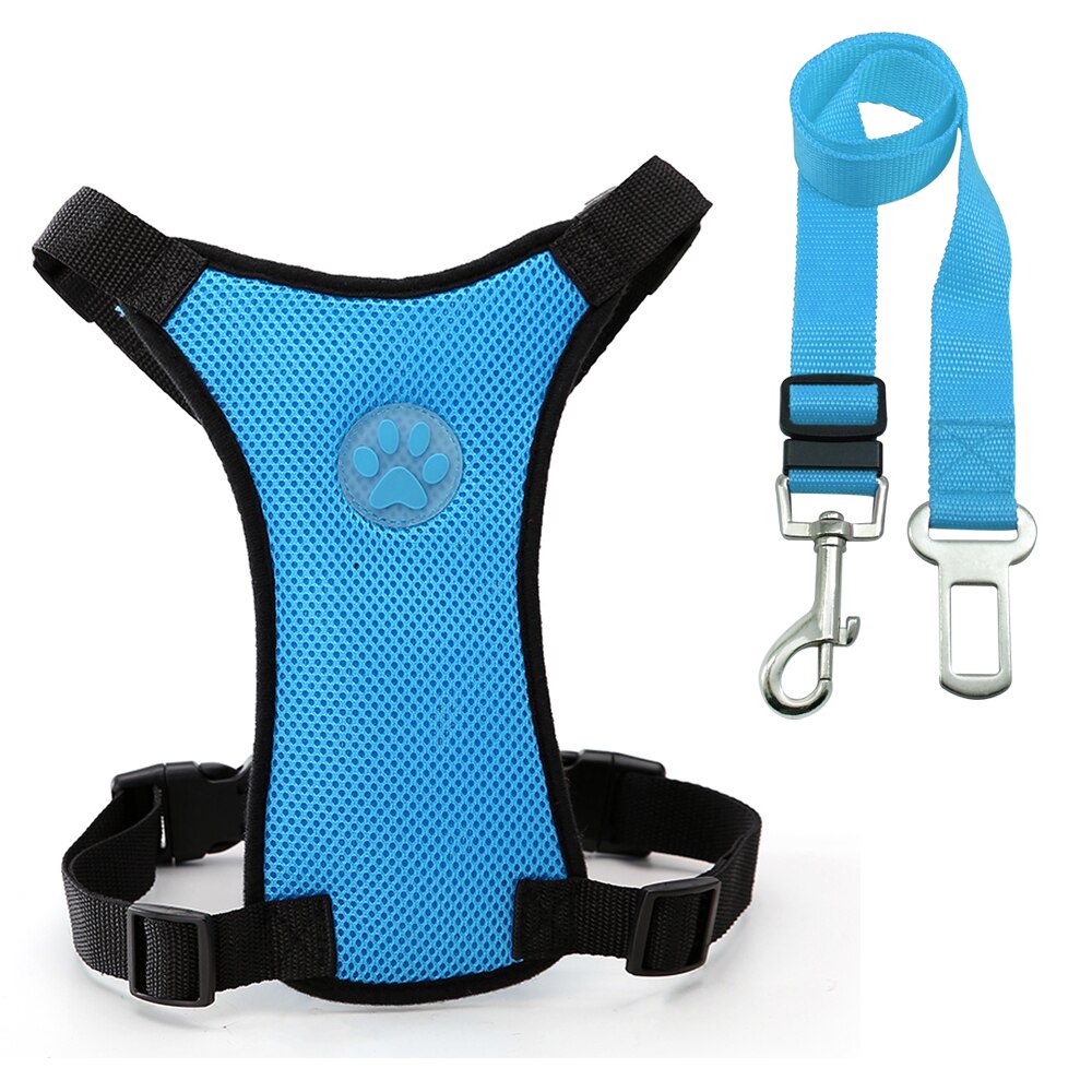 Luxury Pet Essentials - Purrfect Pet Kingdom™