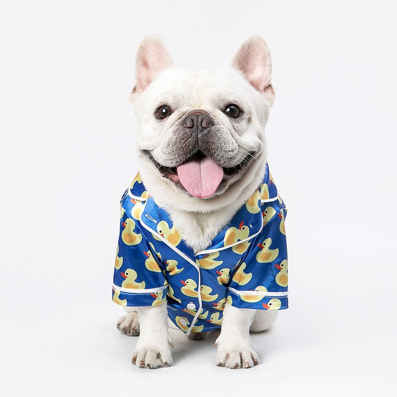 Cat and dog clothes - Majestic Pet Kingdom