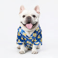 Cat and dog clothes - Majestic Pet Kingdom