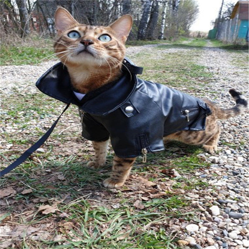 Pet Small Dog Sticker Embroidered Eagle Leather Jacket - Majestic Pet Kingdom