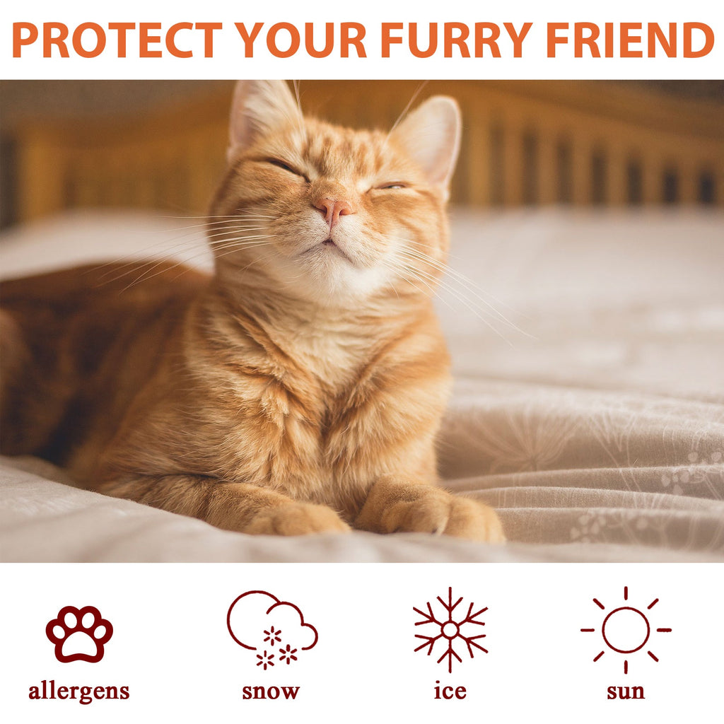 Pet Paw Care Balm: Anti-Dry Crack Pad Moisturizer
