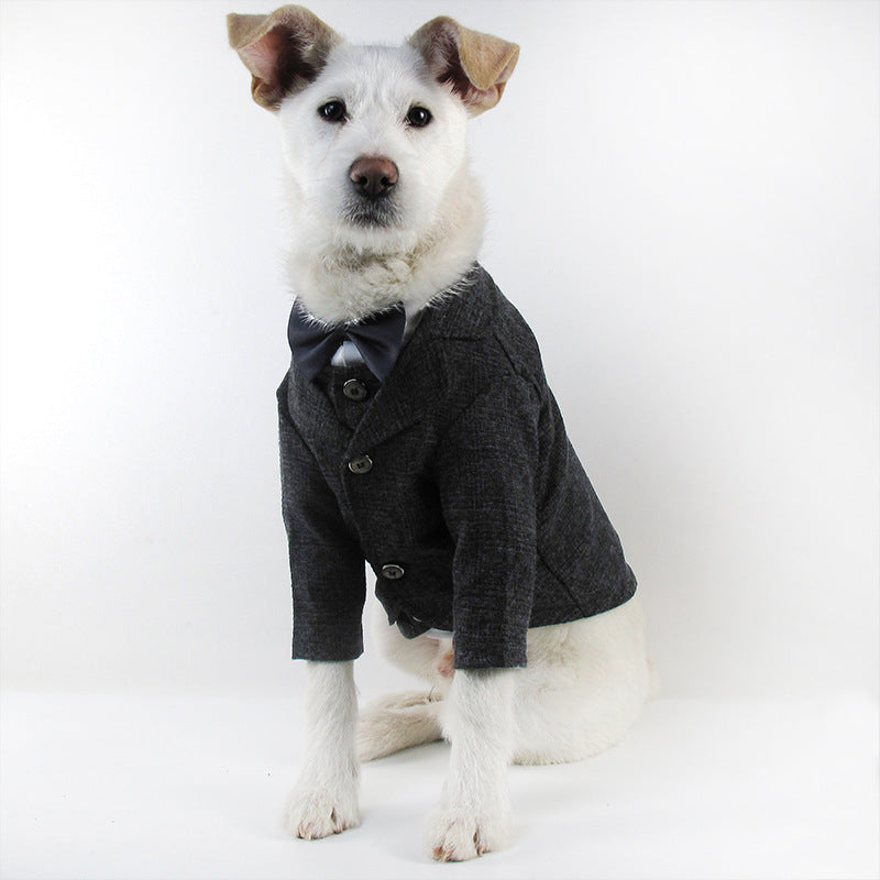 Pet wedding suit - Majestic Pet Kingdom