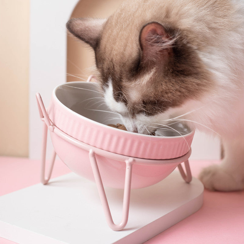 Ceramic Pet Bowl High Foot Neck Protection Snacks Anti-black Chin Oblique Mouth - Majestic Pet Kingdom