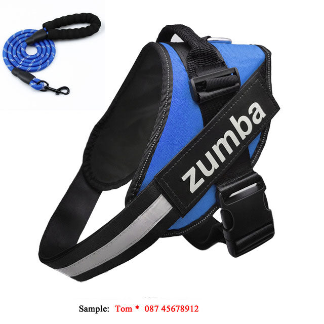 Dog Harness and Leash Set Reflective Breathable Custom Vest - Detail Angle 3 | Majestic Pet Kingdom