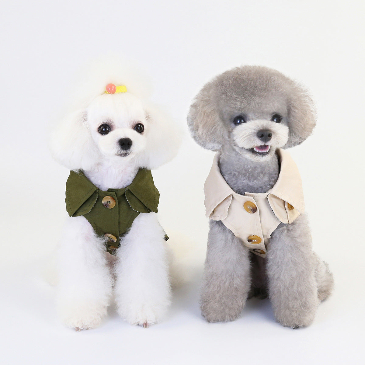 clothes for pets - Majestic Pet Kingdom