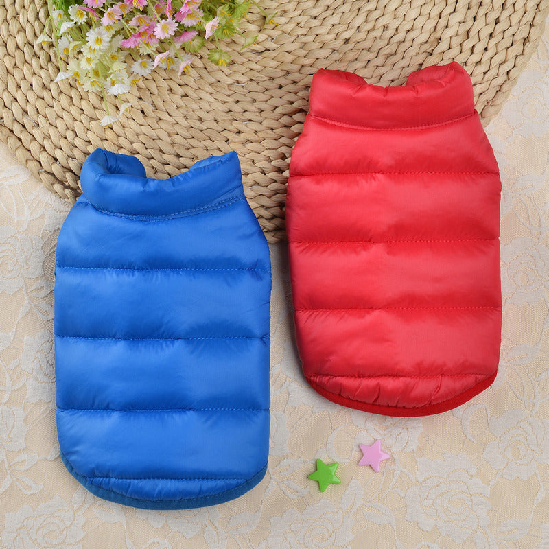 Small Dog Teddy Autumn Autumn Winter Cat Thermal Padded Coat - Majestic Pet Kingdom