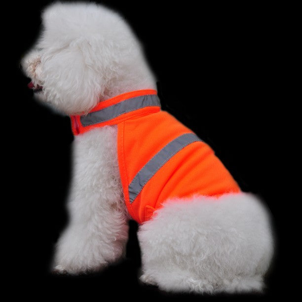 High-Visibility Fluorescent Safety Vest for Small Dogs - Majestic Pet Kingdom
