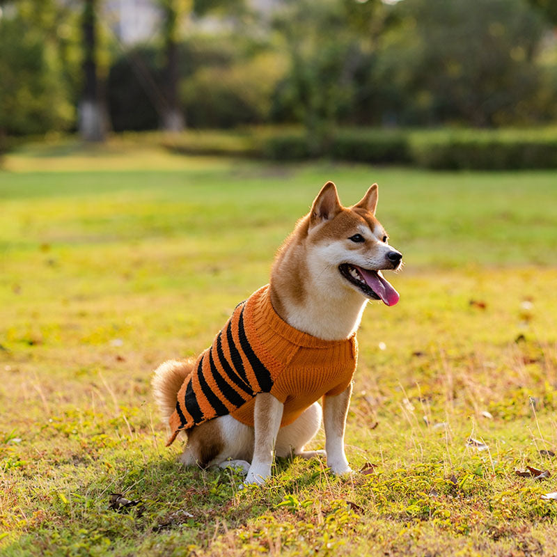 Halloween Dog Sweaters Pet Costume Teddy Warm Leisure Sweater Cosplay Clothes For Dogs Pets Outfits - Majestic Pet Kingdom