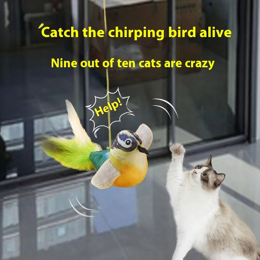 Cat Toy Simulation Will Call Bird To Swing Hanging Door Hanging Cat Teaser