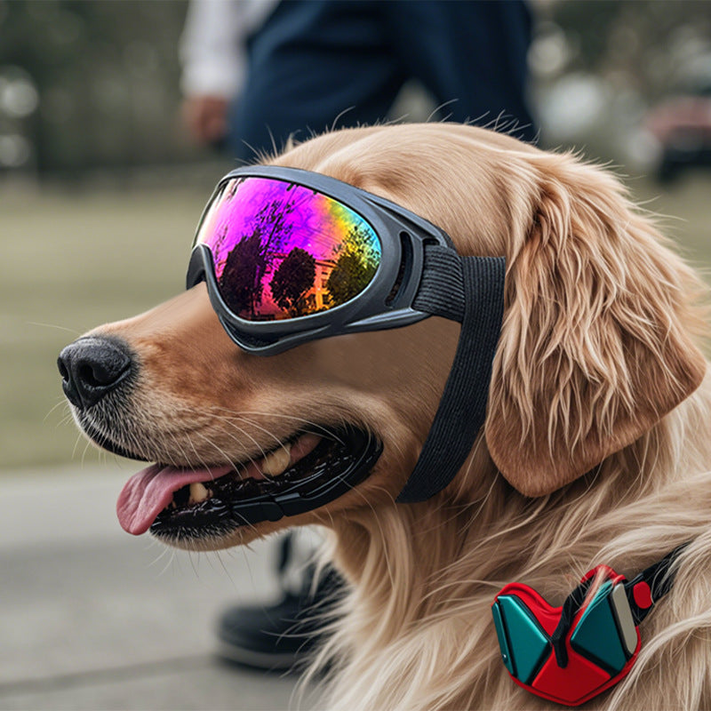 Dog Windproof Plastic Pet Glasses - Purrfect Pet Kingdom™