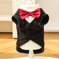 Pet Product - Premium Pet Accessory