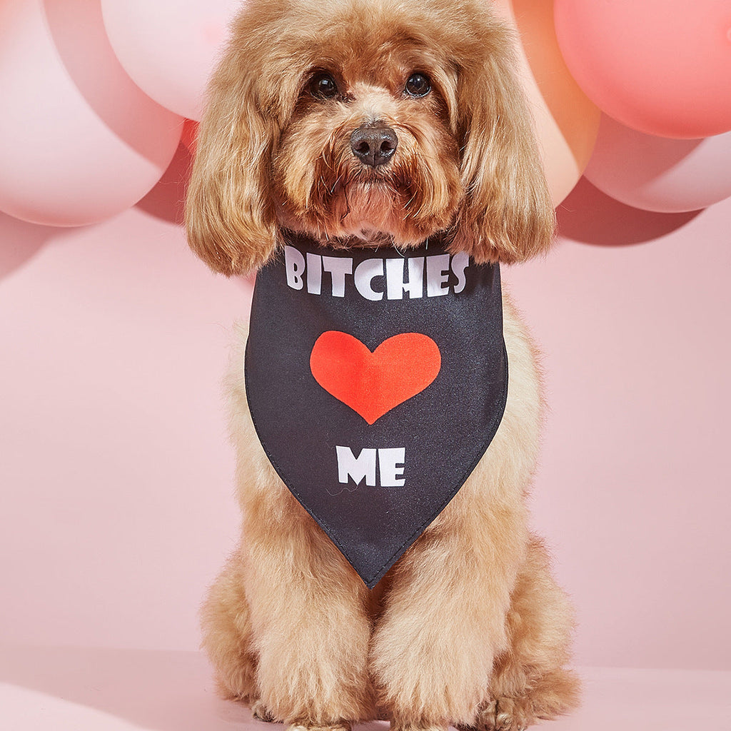 Printed Pet Dog Bandana Scarf & Saliva Towel