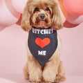 Printed Pet Dog Bandana Scarf & Saliva Towel