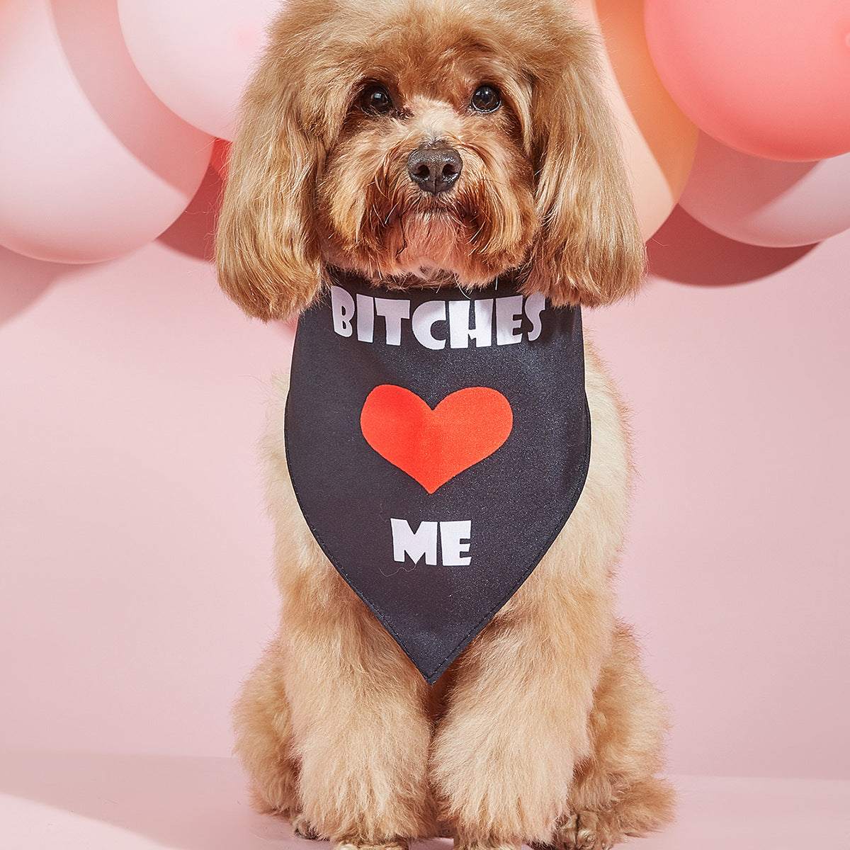 Printed Pet Dog Bandana Scarf & Saliva Towel