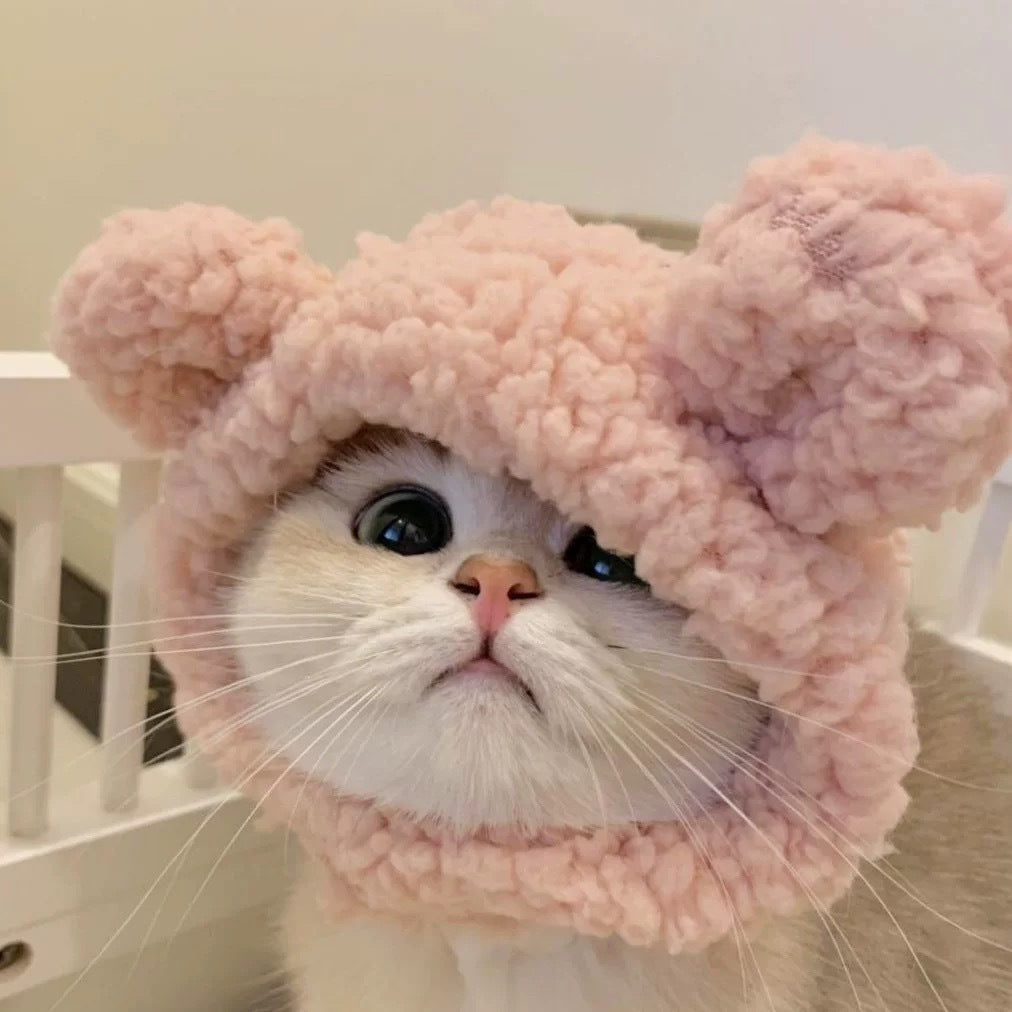 Cute Casual Winter Pet Hooded Hat