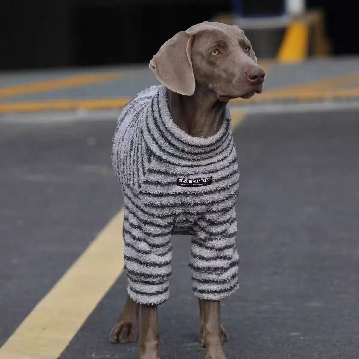 Pet Product - Premium Pet Accessory