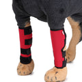 Dog Leg Brace - Majestic Pet Kingdom