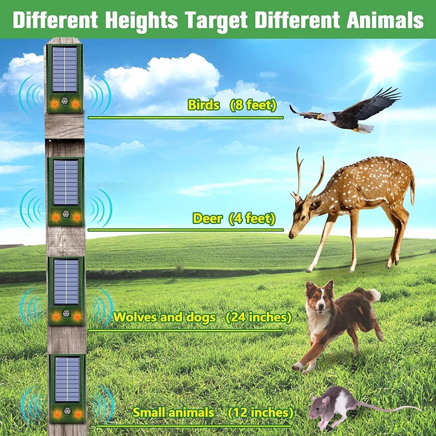 Ultrasonic mouse repeller Outdoor LED red and white flash bird repeller Ultrasonic dog repeller Cat repeller - Majestic Pet Kingdom