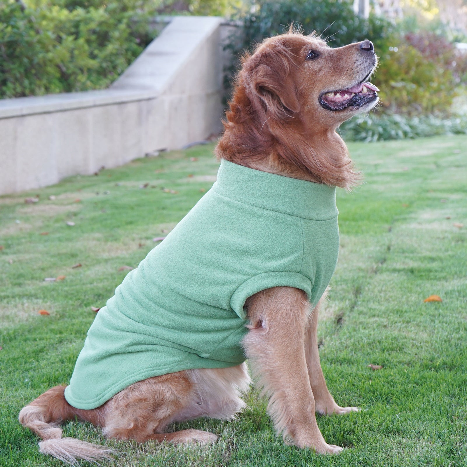 Large Dog Winter Coat: Warm Pet Apparel