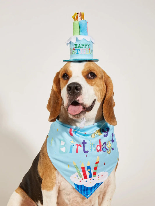 dog-happy-birthday-decoration-dog-costume-hats-bowknot-bana-neckerchief-bibs-banners-party-cat-dog-pets-accessories-perros-luxury-view-1 | Majestic Pet Kingdom