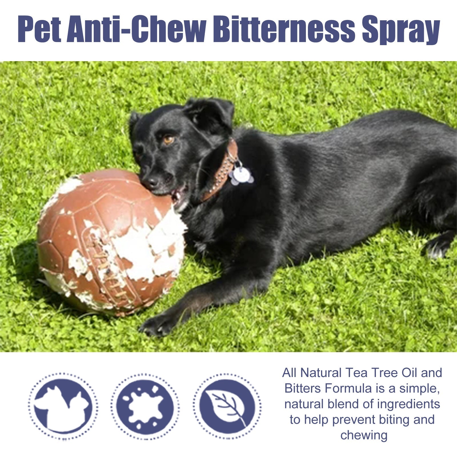 Bitter Anti-Chewing Spray: Furniture Protection Repellent - Majestic Pet Kingdom