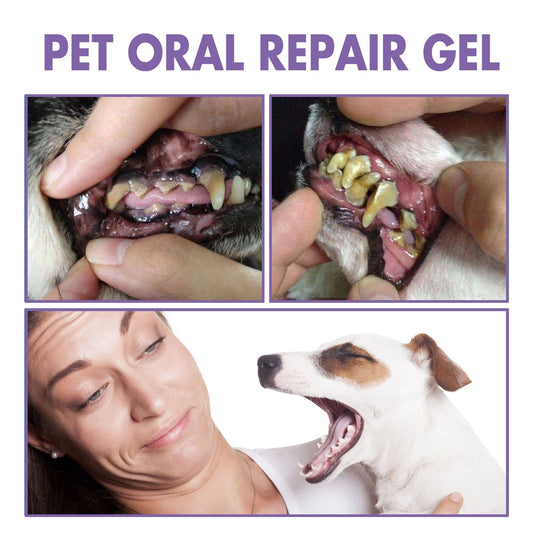 pet-oral-care-gel-deep-cleaning-of-dog-cat-teeth-stains-oral-hygiene-luxury-view-2 | Majestic Pet Kingdom