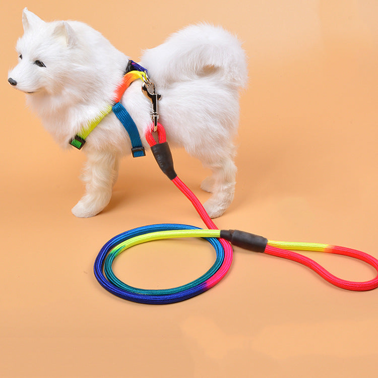 Dog Leash Colorful Braided Nylon Round Rope Walking Hand Lead - Detail Angle 3 | Majestic Pet Kingdom