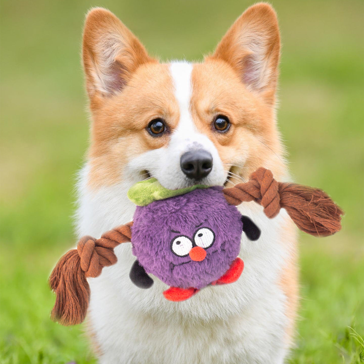 Interactive Dog Toy Plush Rope Knot Tug Of War Game Bb Bite Resistant Molar Tooth Toy | Purrfect Pet Kingdom