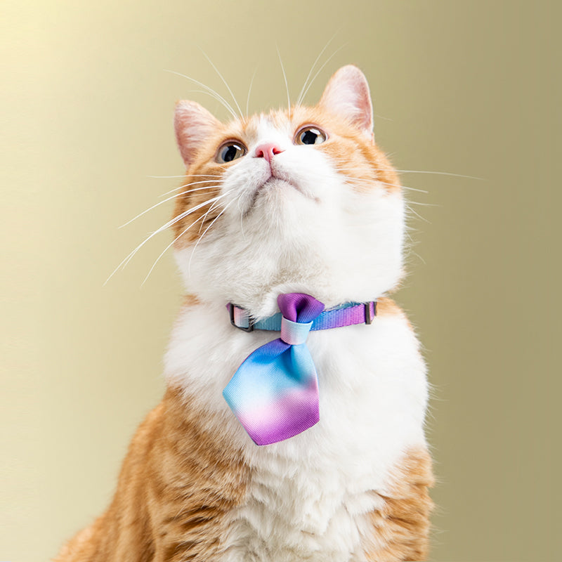 Luxury Pet Essentials - Purrfect Pet Kingdom™