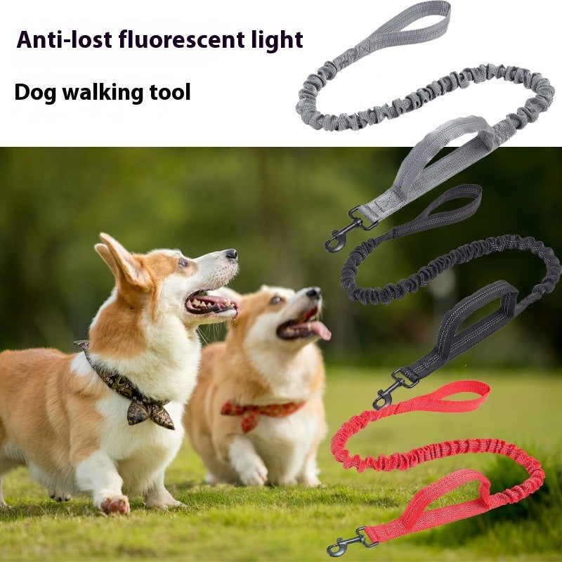 Dog Leash Retractable Elastic Bungee Reflective Lead Strap