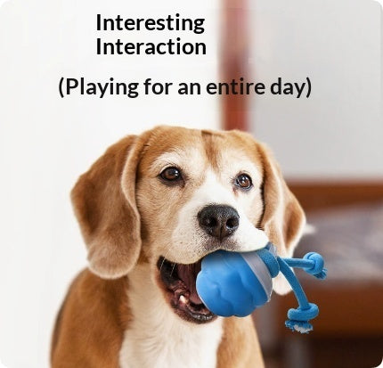 Rechargeable Dog-Playing Ball Smart Toy For Dogs