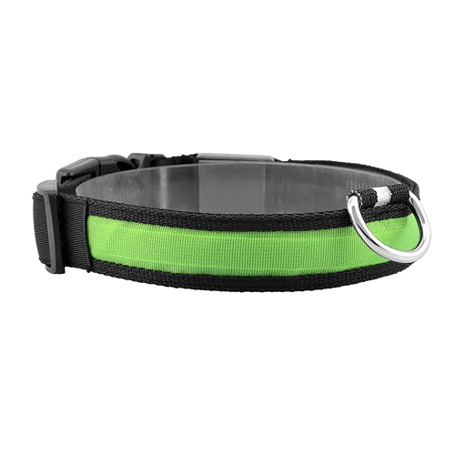 GBruno LED Dog Collar USB | Purrfect Pet Kingdom