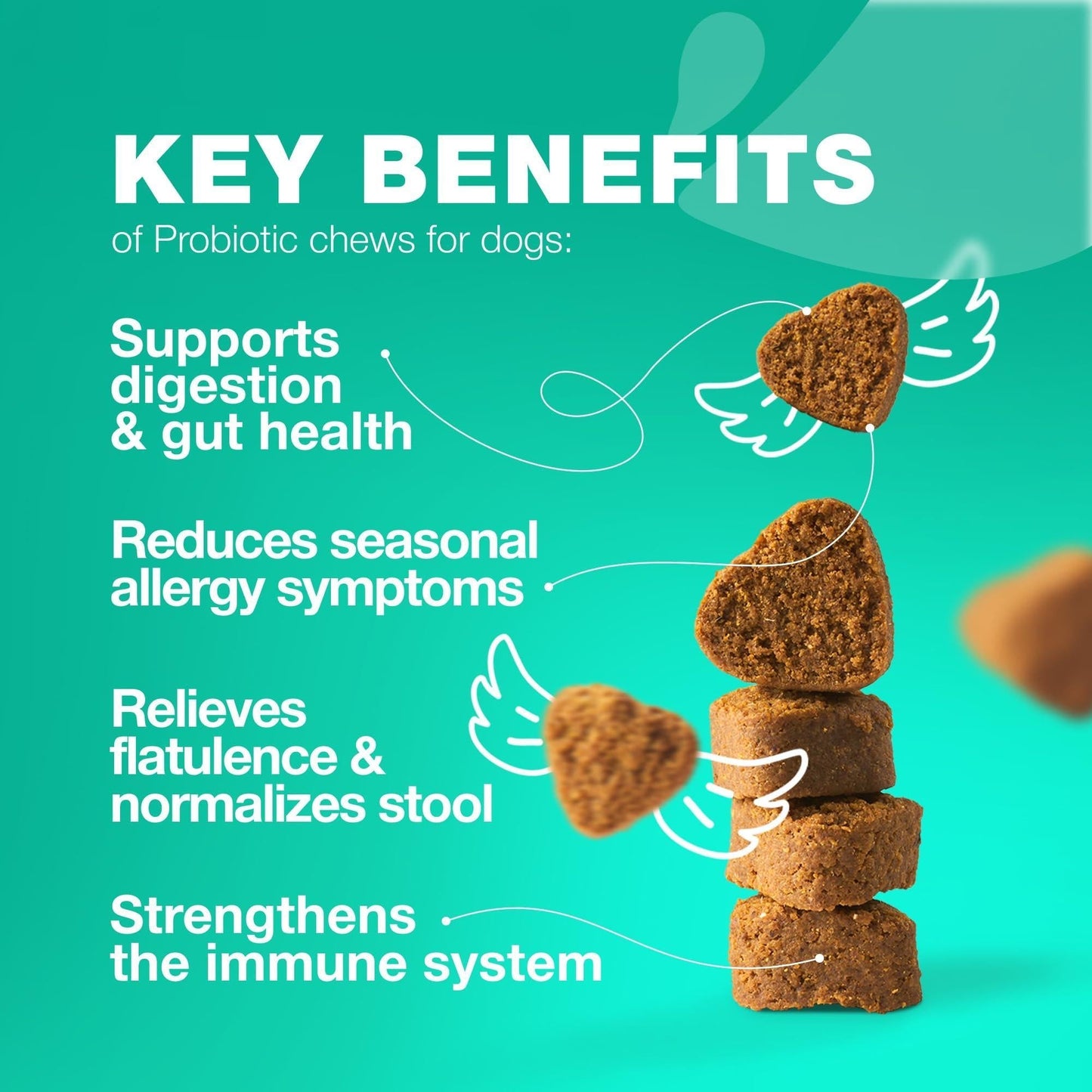 Dog Probiotics Digestive Enzymes Pumpkin Powder Gut Health - Detail Angle 2 | Majestic Pet Kingdom