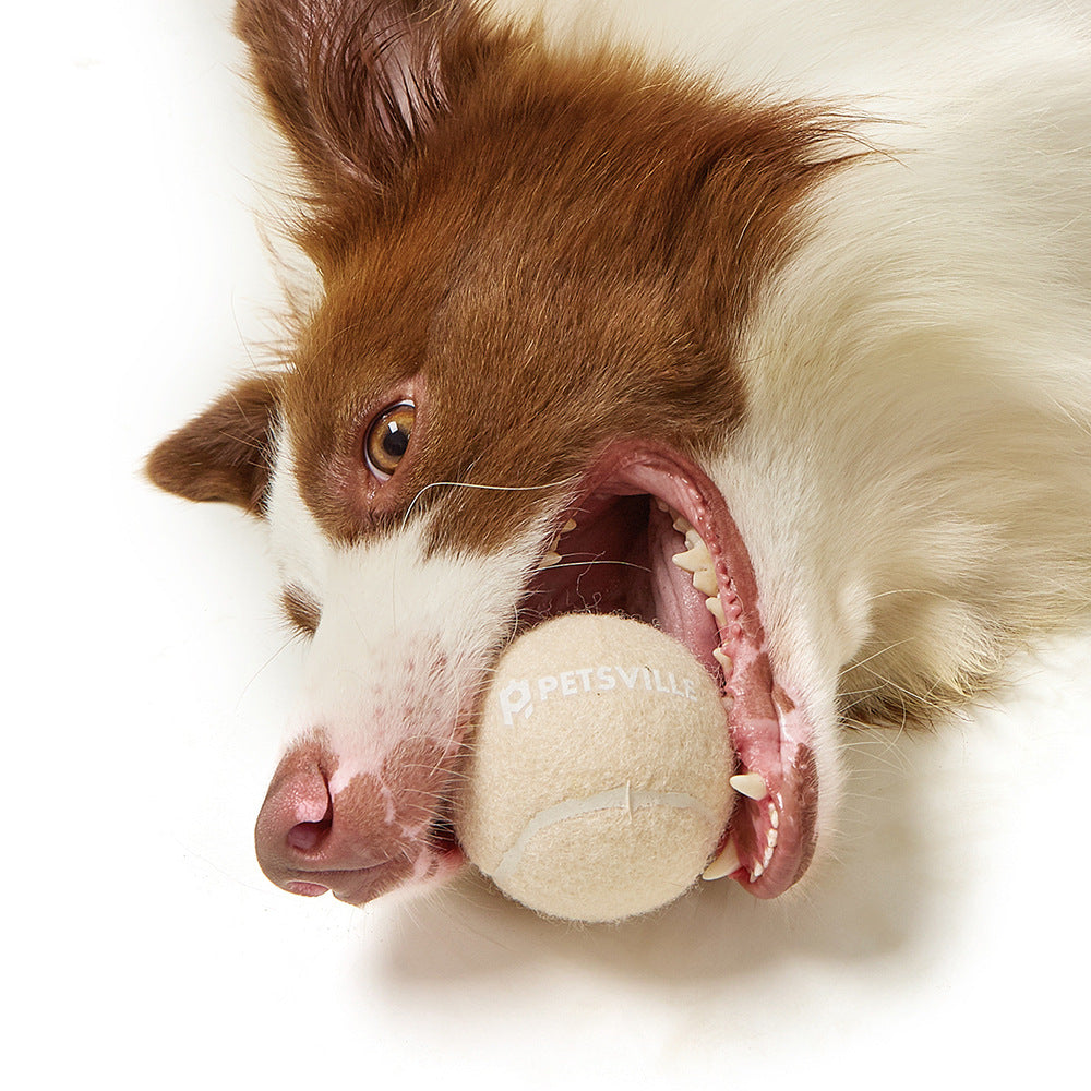 Outdoor Interactive Tennis Ball Launcher Dog Toy