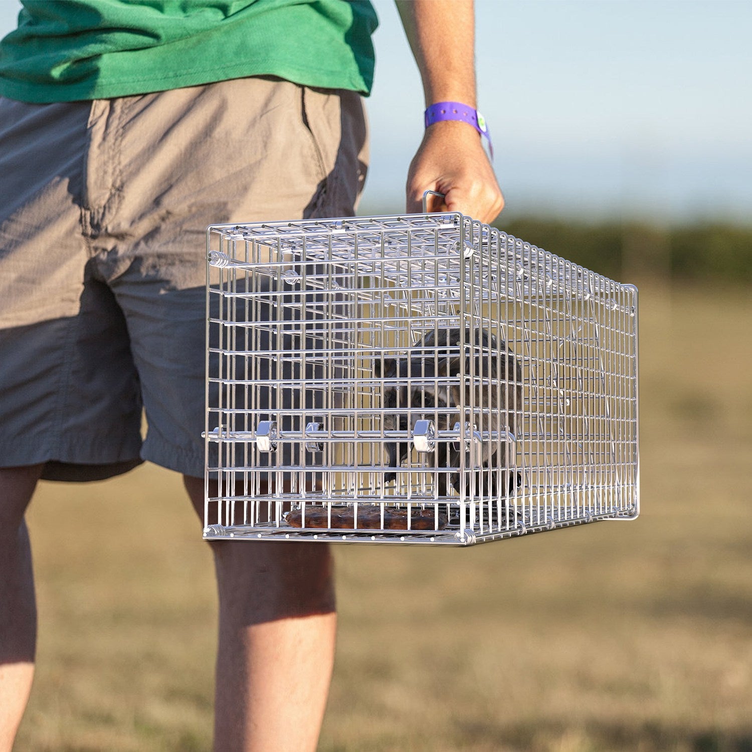 1Pc 25.59Inch Live Humane Animal Trap For Spring Summer Cage Heavy Duty Folding Catch And Release Rodent Cage For Rabbit Squirrel Possum Skunk Kitten Raccoon And More